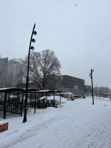 Gallery image of Luminary 48 Julo